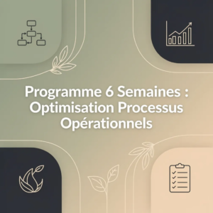 Programme 6 Semaines : Optimisation Processus Opérationnels