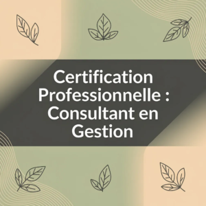 Certification Professionnelle : Consultant en Gestion